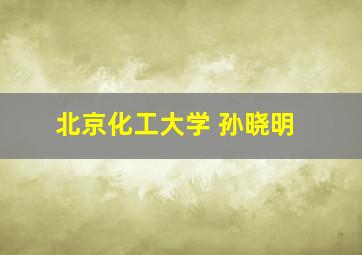 北京化工大学 孙晓明